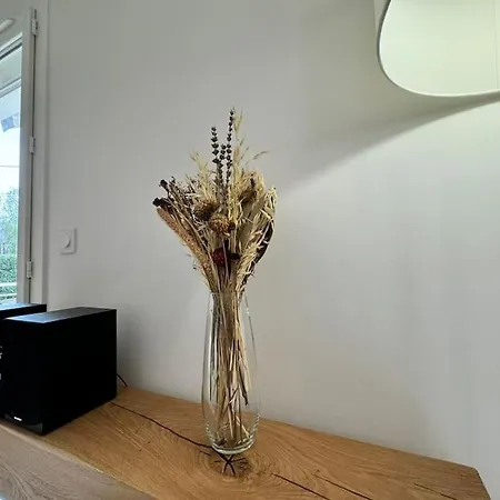 Le Nid Ruthenois - Clim, Wifi, Netflix & Terrasse Lejlighed *