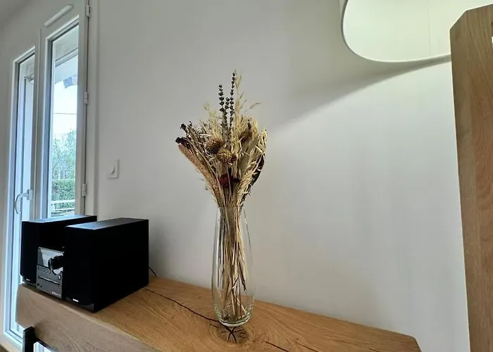 Le Nid Ruthenois - Clim, Wifi, Netflix & Terrasse Apartment *